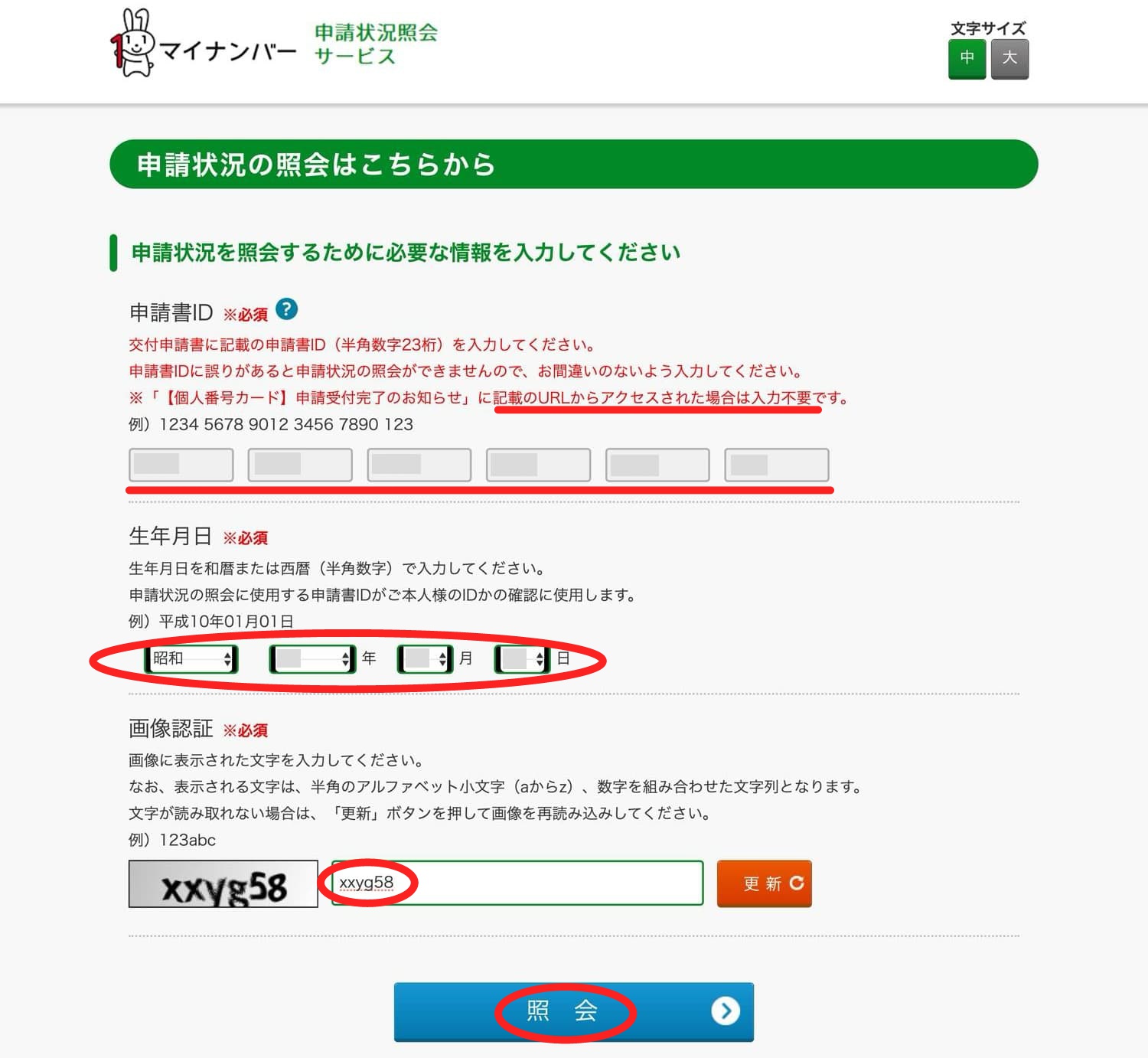 20250208-my-number-koshin-301C1