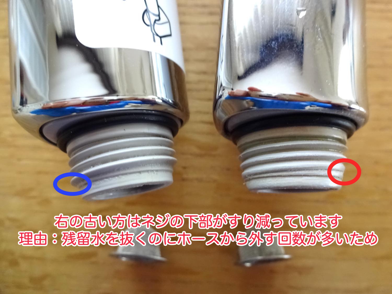 20250305-TOTO-TH770C-206C1
