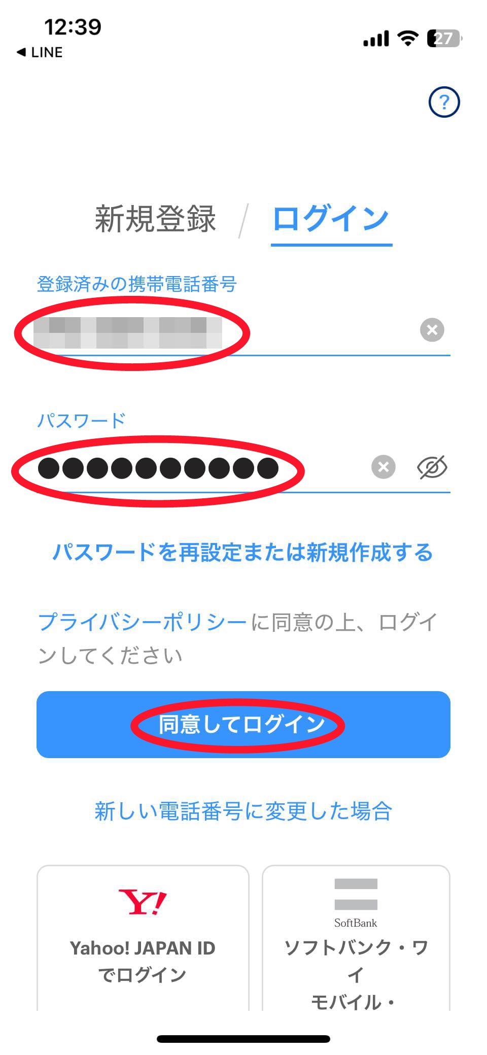 20250318-Line Pay残高移行-6C1