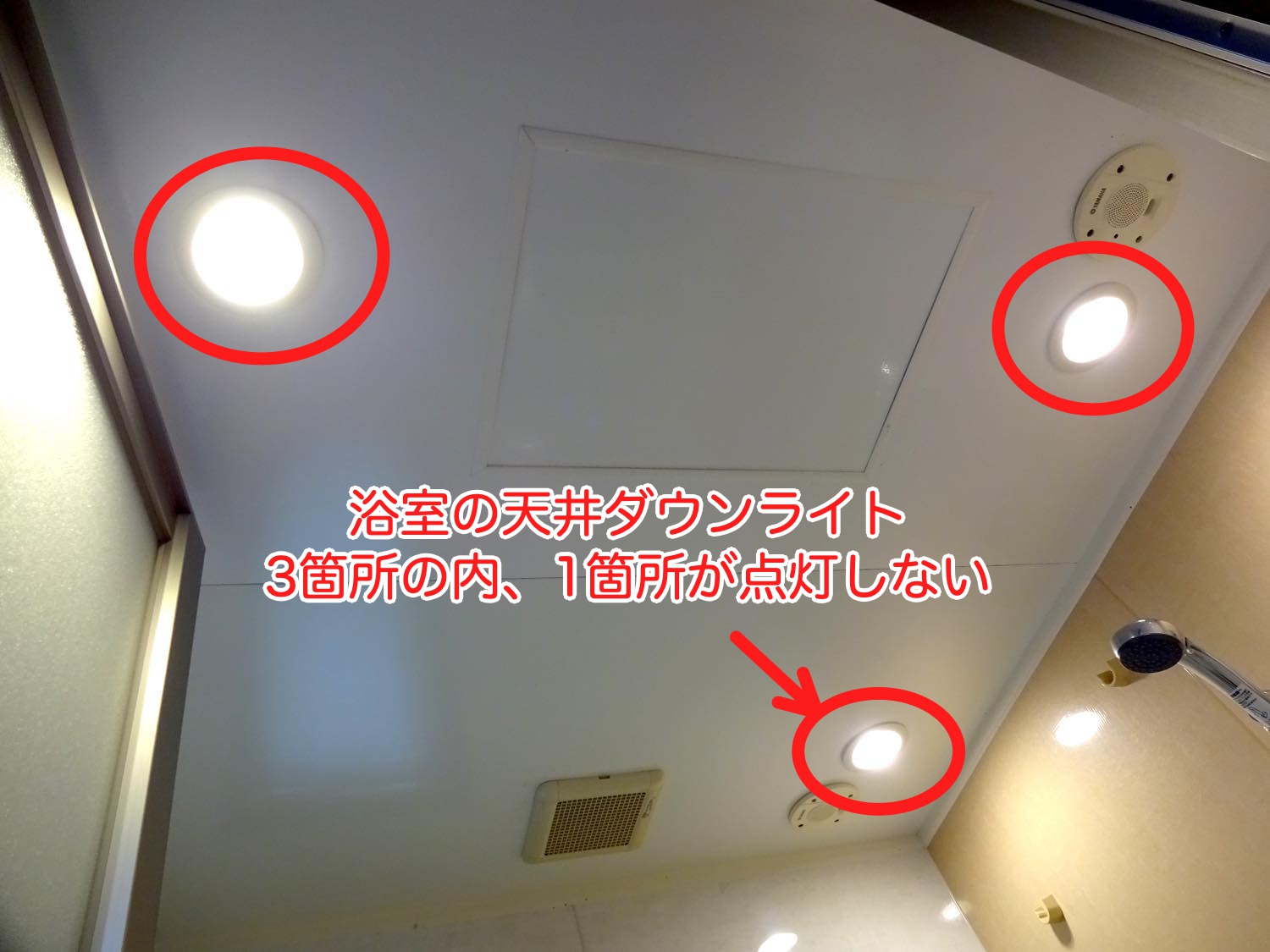 20250811-風呂照明C1