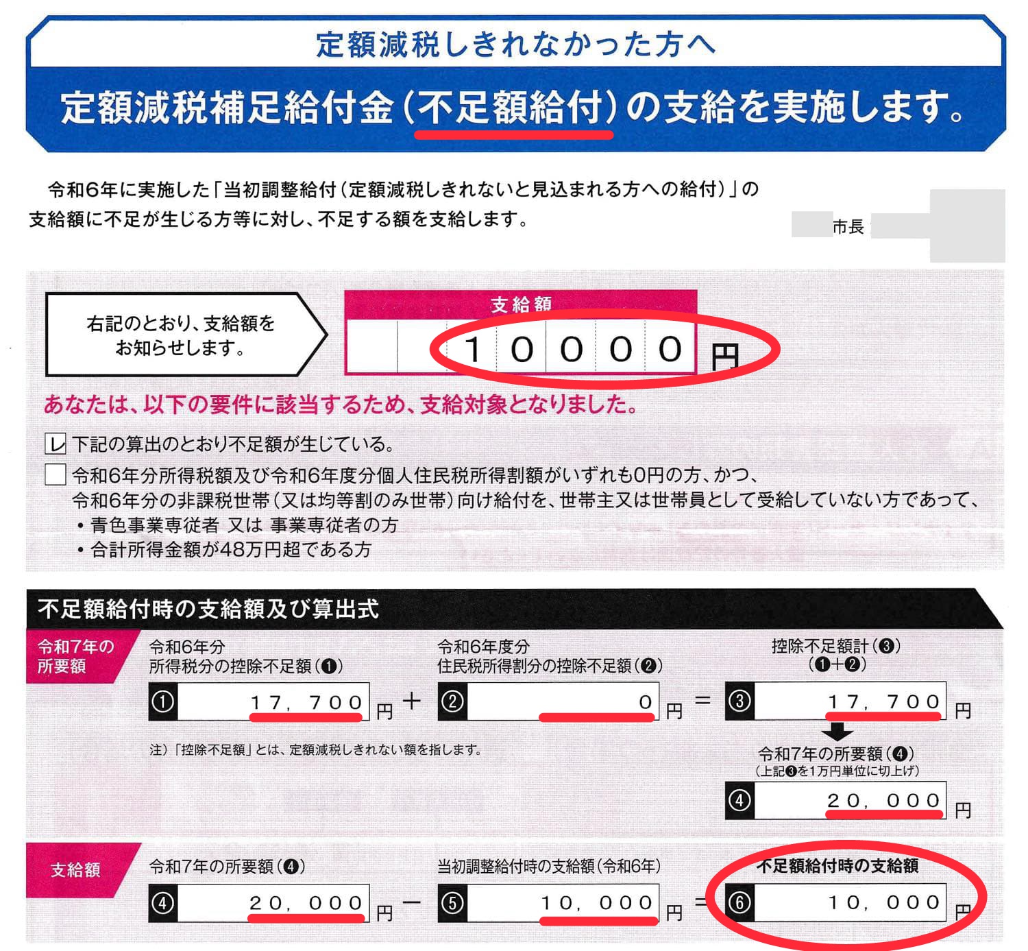 定額減税補足給付金の詳細